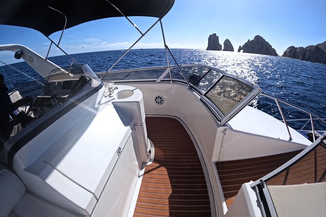 PRIVATE Whale Watching Tour and Snorkeling Tour Cabo San Lucas - Cancellation Policy
