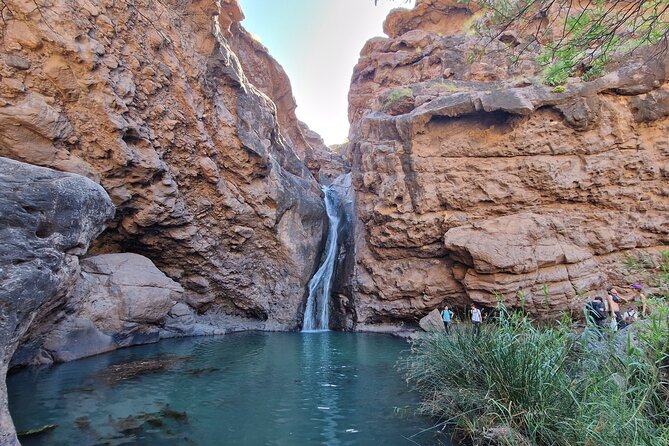 Private Wild Picnic in the North West of Gran Canaria - What To Expect