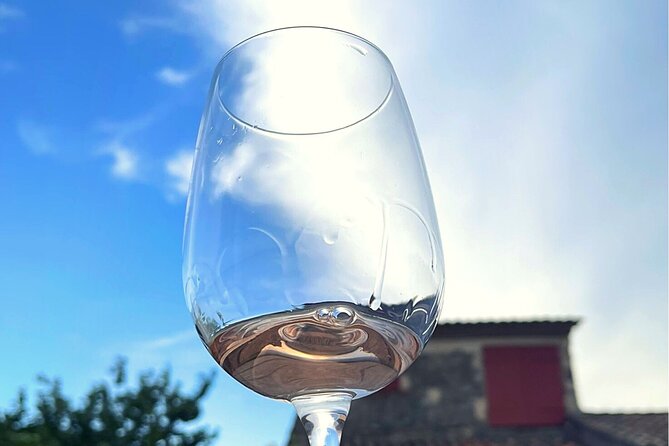 Private Wine Tasting at Home, Gulf of Saint-Tropez - Reviews