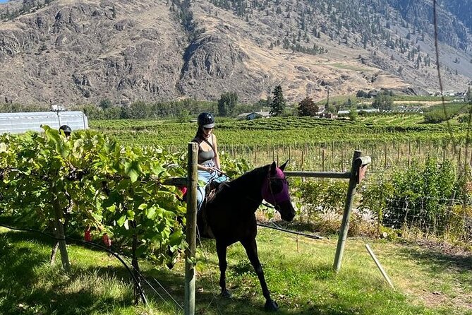 Private Wine Tour With Horseback Riding and Lunch - Directions to the Meeting Point