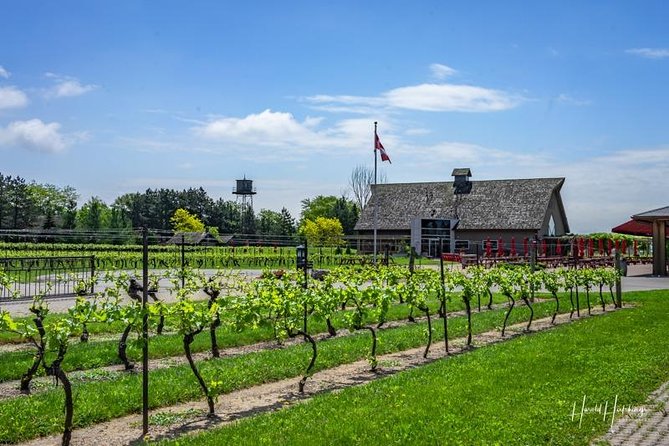 Private Winery Tour of Niagara-on-the-Lake - Traveler Photos and Reviews
