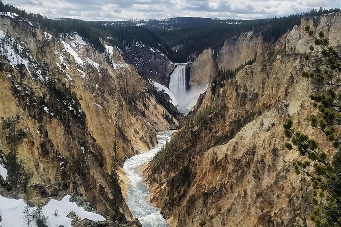 Private Yellowstone Lower Loop Tour - Guide Experience