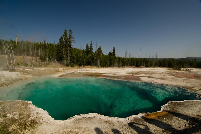 Private Yellowstone Old Faithful and Lower Loop Tour - The Sum Up