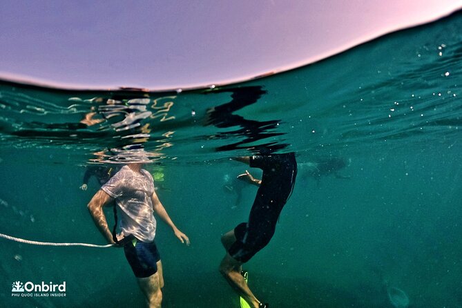 PROFESSIONAL SNORKELING to Explore Hidden Coral Spots (MAX 9 PAX) - Directions