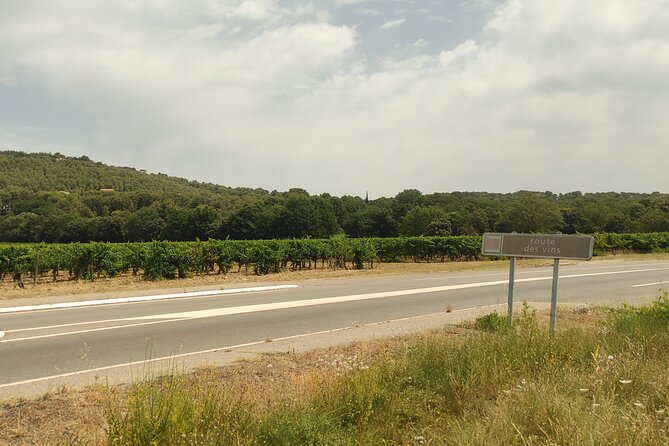 Provencal Castle, Village & Wine-Tasting Half-Day Tour From Aix - Wine-Tasting Experience