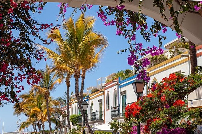 Puerto De Mogan and Canarian Market 6-Hour Guided Tour - Additional Information