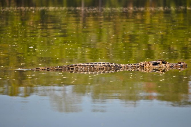 Puerto Maldonado: 3-Day Amazon Rainforest Tour - Excellent Service