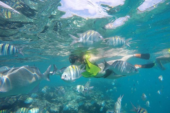 Puerto Plata Shore Excursion, Snorkeling Tour & Sosua Beach Day - Traveler Photos and Reviews