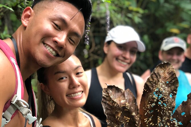 Puerto Rico: Small-Group Hiking Tour - Overall Satisfaction