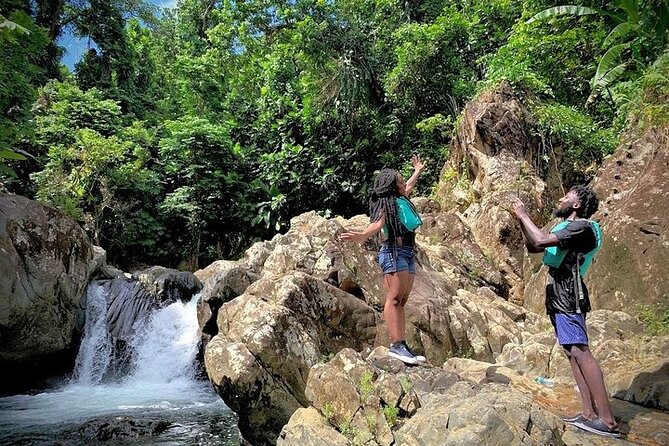 Puerto Rico: The Yunque Rainforest & Waterfalls Half-Day Tour  - San Juan - The Sum Up