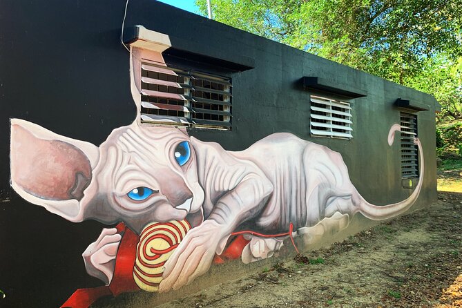 Puerto Ricos Lifestyle, Art and Culture Tour - Positive Reviews and Tour Highlights