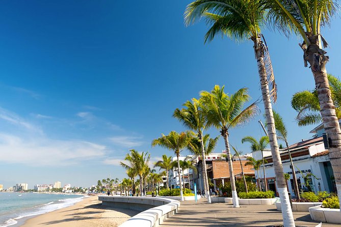 Puerto Vallarta City Tour - Feedback and Overall Experience