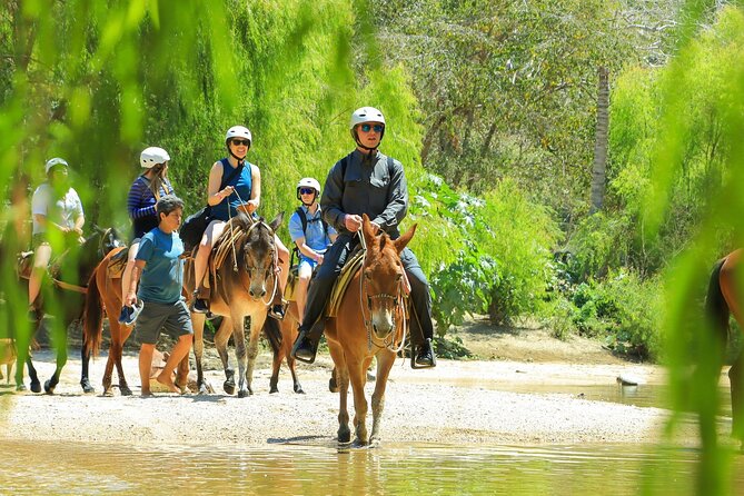 Puerto Vallarta Horseback Riding and Beach Break Adventure - General Information