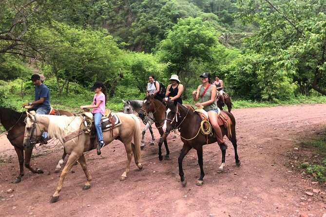 Puerto Vallarta Small-Group Horseback Riding Tour - Customer Reviews