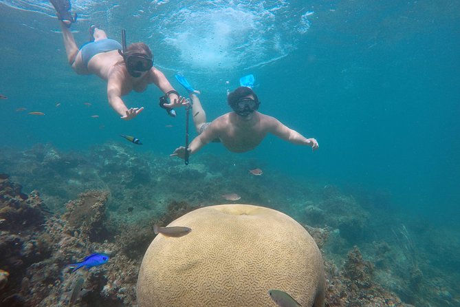 Punta Cana Private Cruise up to 10 Snorkeling & Seafood Lunch - Inclusions and Amenities Provided