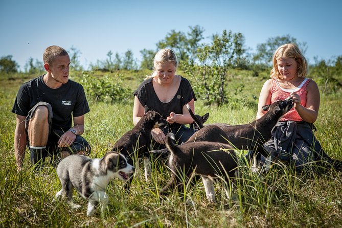 Puppy Training Experience at a Husky Farm in Tromso - Common Questions