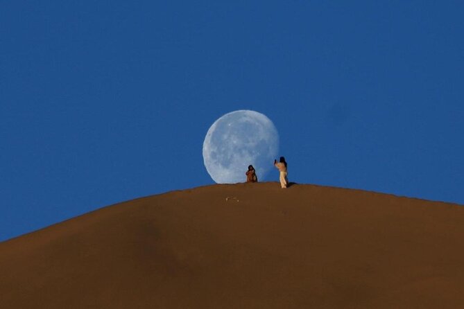 Qatar Desert Safari, Dune Bashing (Private Safari Tour) - Traveler Photos