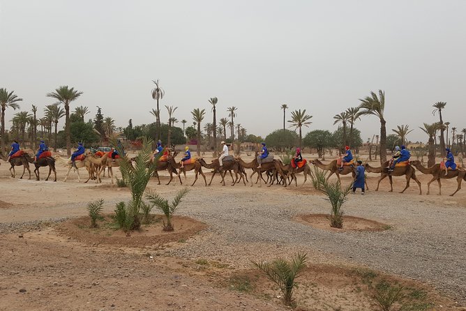 QUAD BIKE Marrakech - Reviews and Ratings