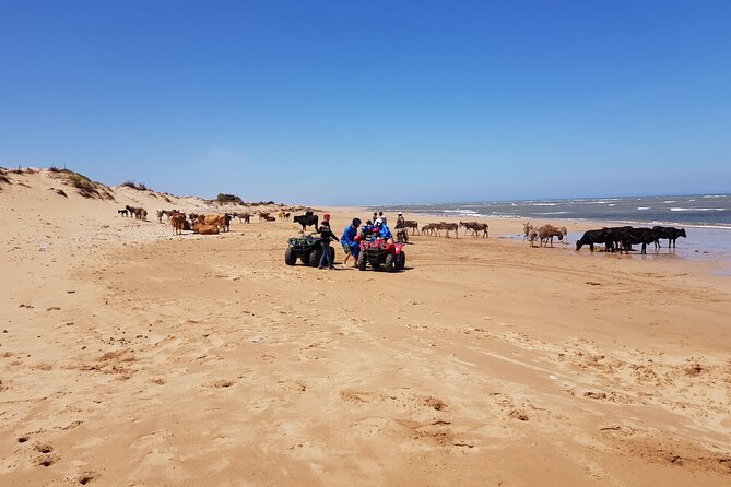 Quad Day With Meal: Sidi Kaouki 6h (Minimum 2 People) - The Sum Up