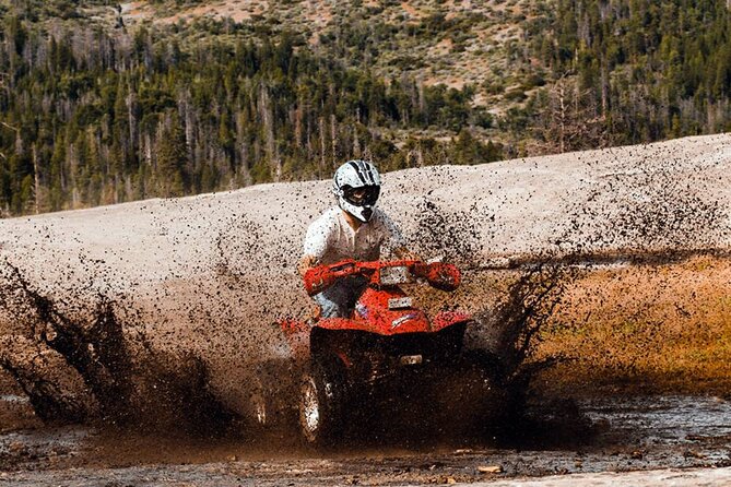 Quad Safari Experience in Alanya (Adventure Tour) W/ Free Hotel Transfer - Additional Information