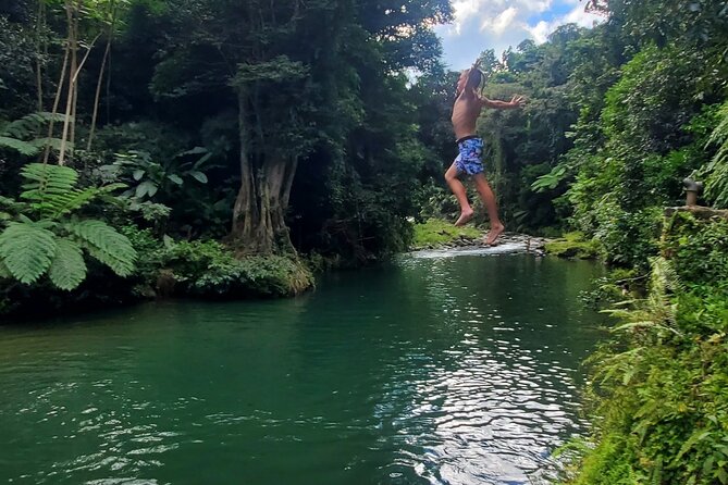 Rainforest and Junglequi Zipline Combo Tour - Tour Itinerary