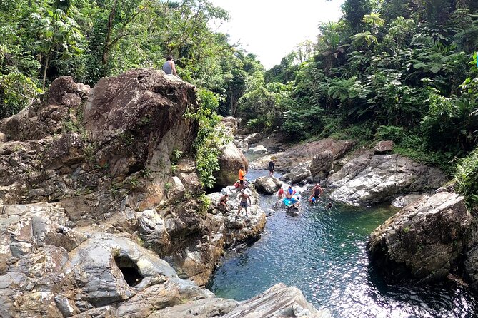 Rainforest River Nature Walk Adventure and Luquillo Beach - Favorite Parts, Tour Guide, and Positive Experiences