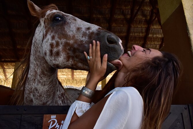 Ranch Farm Experience and Horseback Ride  - La Paz - Ranch San Lorenzo La Paz B.C.S