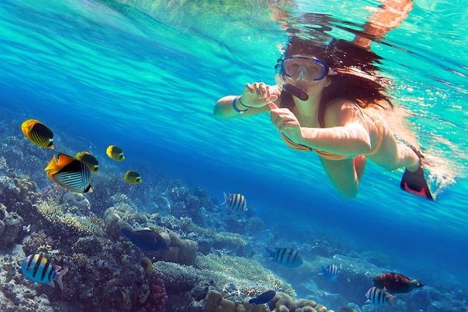 Raya and Coral Speed Boat Snorkeling With Lunch - Customer Reviews and Ratings