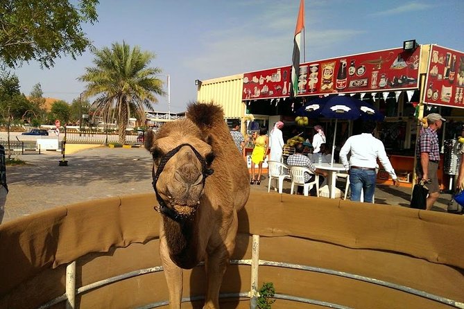 Red Dunes Quad Bike Safari With BBQ & Ferrari World ( 2 Days Tour ) - Common Questions