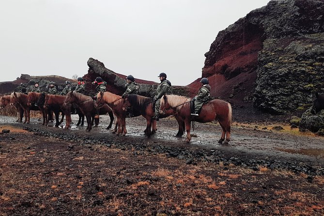 Red Lava Horse Riding Tour From Reykjavik - Customer Reviews and Feedback
