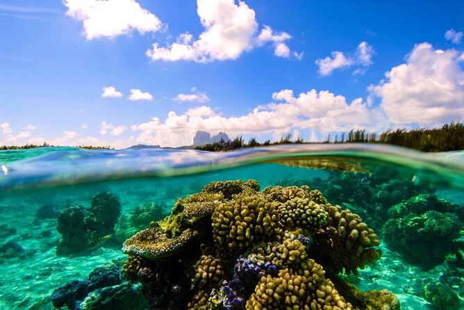 Reef Discovery Private Full Day Lagoon Tour & Water Lunch - Directions