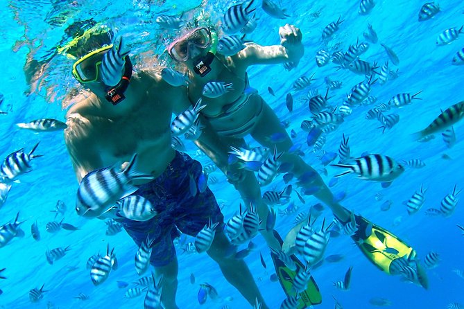 Reef Discovery Private Half Day Lagoon Tour - Additional Information