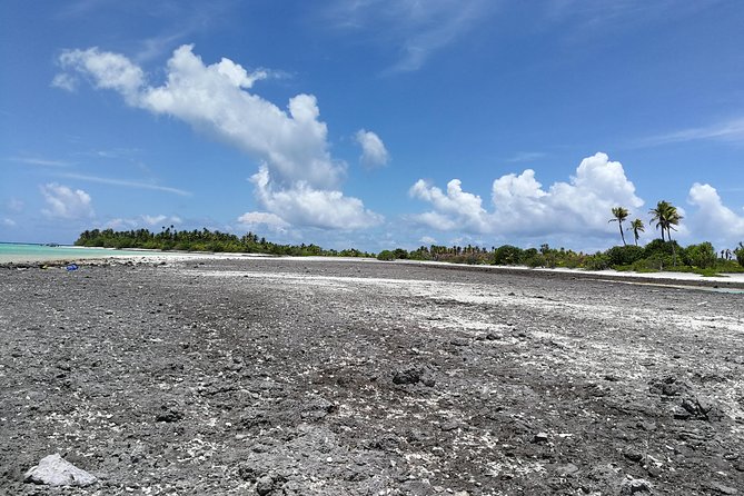 Reef Island Tour - Itinerary