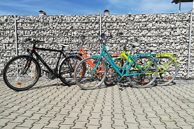 Rent a Bike From Munich to Neuschwanstein Castle - Important Considerations for Travelers