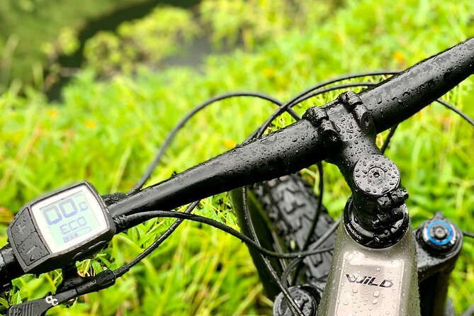 Rental of an Electric Mountain Bike on the Tahiti Peninsula - Good To Know