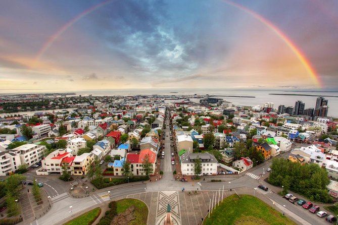 Reykjavik City Walking Tour - Nature and Wildlife at Reykjavik City Pond