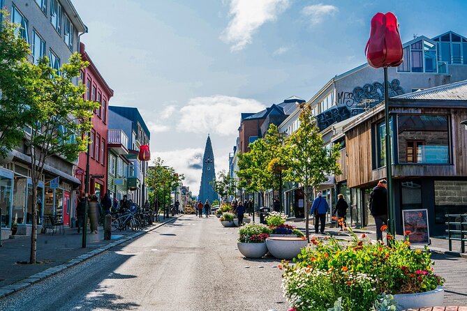 Reykjavik Private Walking Tour With A Professional Guide - Cultural and Historical Insights