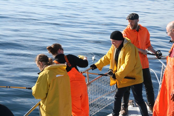 Reykjavik Sea Angling Gourmet - Exploring the Faxaflói Area