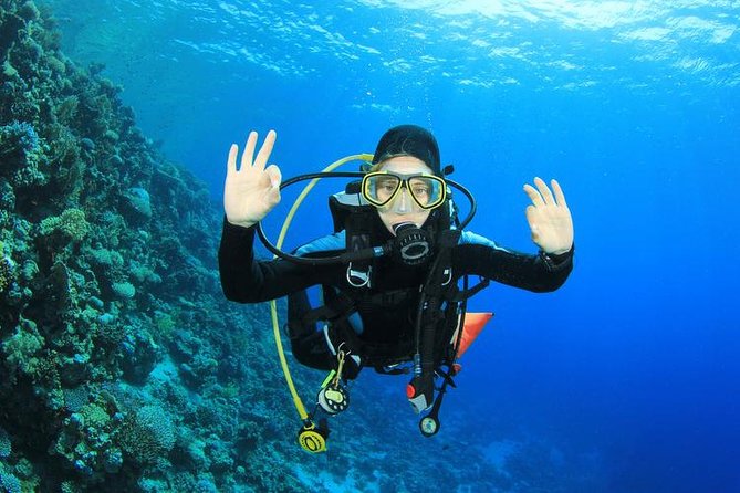 Rhodes Scuba Diving Experience - Safety Measures, Dive Sites, Training and Certification, Additional Activities
