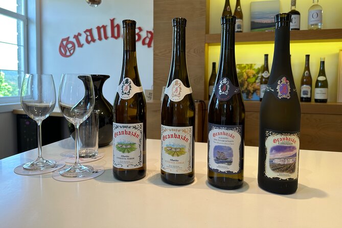 Rias Baixas Private Wine Tasting Tour in a Porsche Taycan - Price and Terms