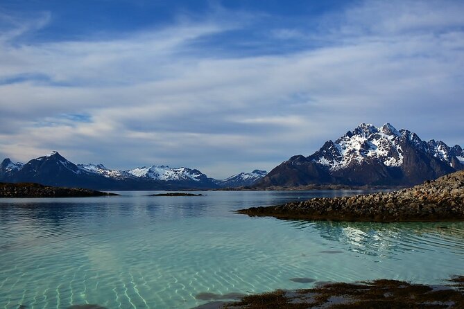 RIB Sea Eagle Safari Trollfjord Cruise - Reviews