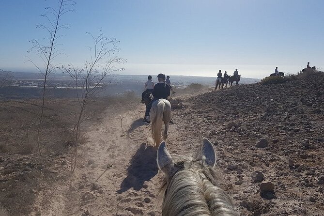 Riding 2 Hours Along the Maspalomas Route - Booking and Cancellation Policies