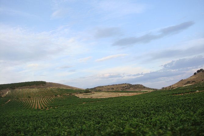 Rioja Wine Country Full-Day Private Wine-Tasting Tour  - San Sebastian - Background