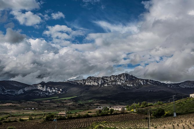 Rioja Wine Tour: Winery & Traditional Lunch From Bilbao - Reviews and Ratings From Viator and Tripadvisor