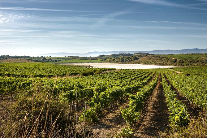 Rioja Wine Tour: Winery & Traditional Lunch From Pamplona - Transportation and Pickup Details