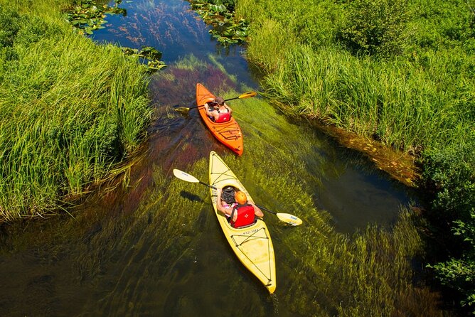 River of Golden Dreams Canoe and Kayak Self Guided Excursion - Wildlife and Wildflowers