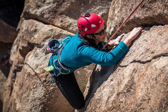 Rock Climbing Trips in Joshua Tree National Park (6 Hours) - Cancellation Policy and Terms
