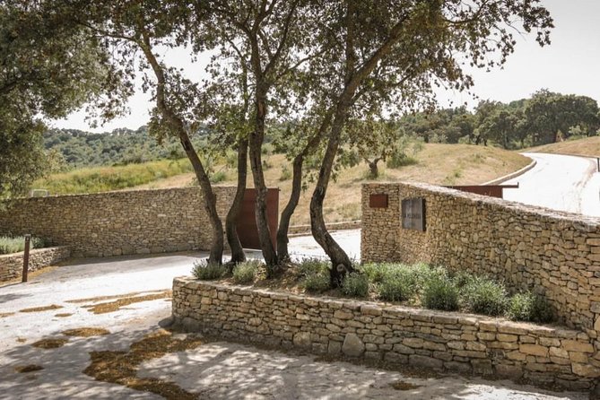 Ronda Private Wine Tour and Tapas From Marbella - Traveler Reviews