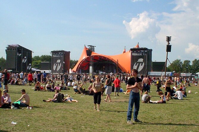 Roskilde Half-Day Private Tour From Copenhagen - Tour Details Overview