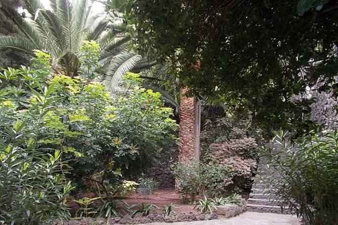 Round The Island Trip Without Teide VIP TOUR - Common Questions